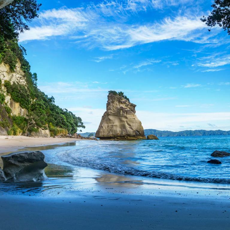 esl new zealand language stay hero learning english