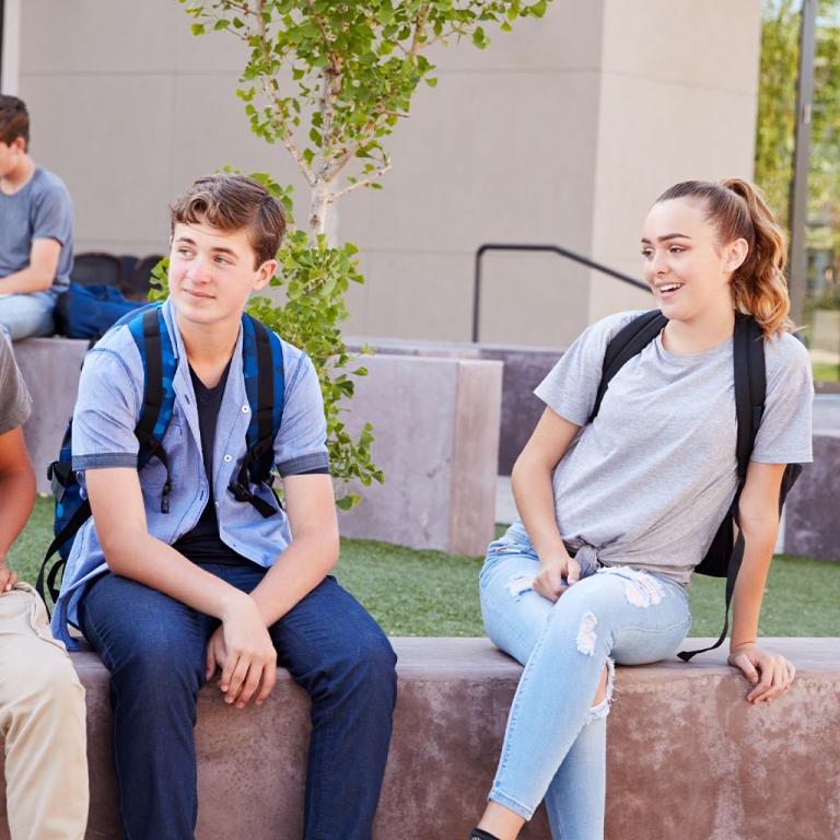 esl high school scottsdale unified school district.jpg